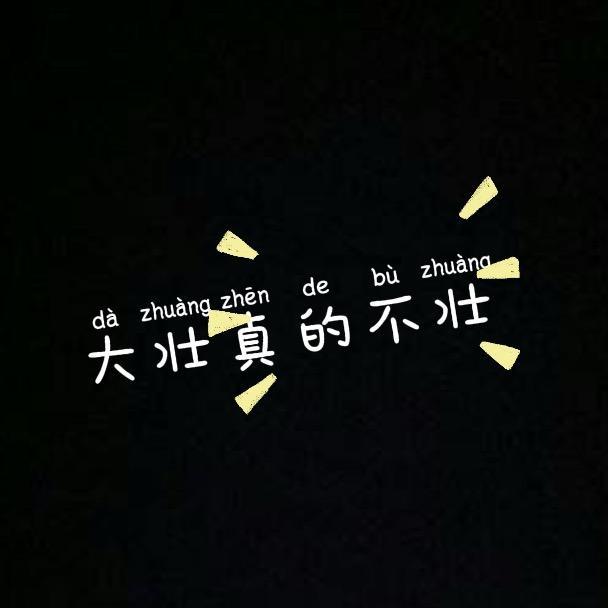 天河六便士 大壮