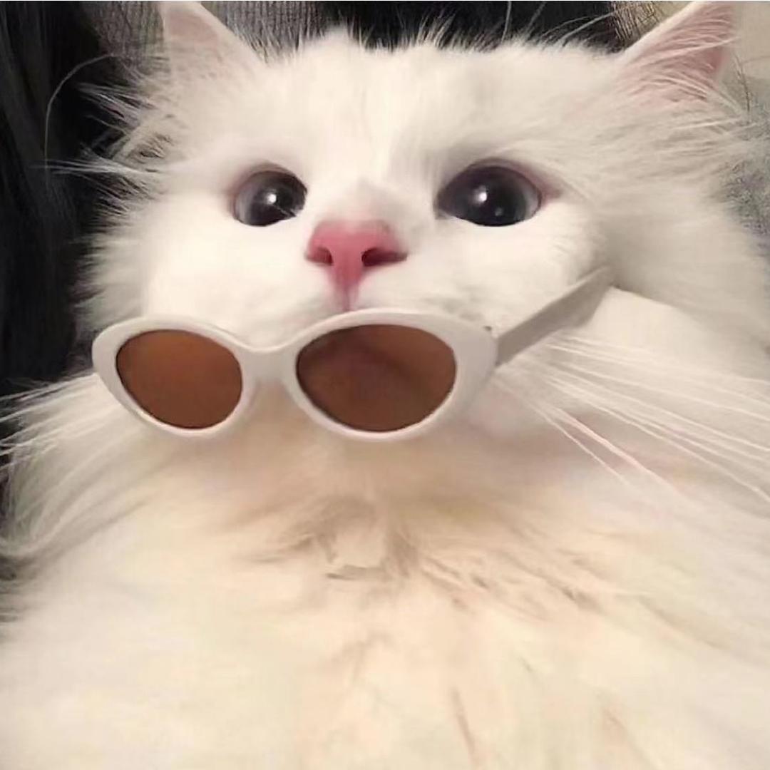 就要葡式蛋挞（不居安也思vae版）