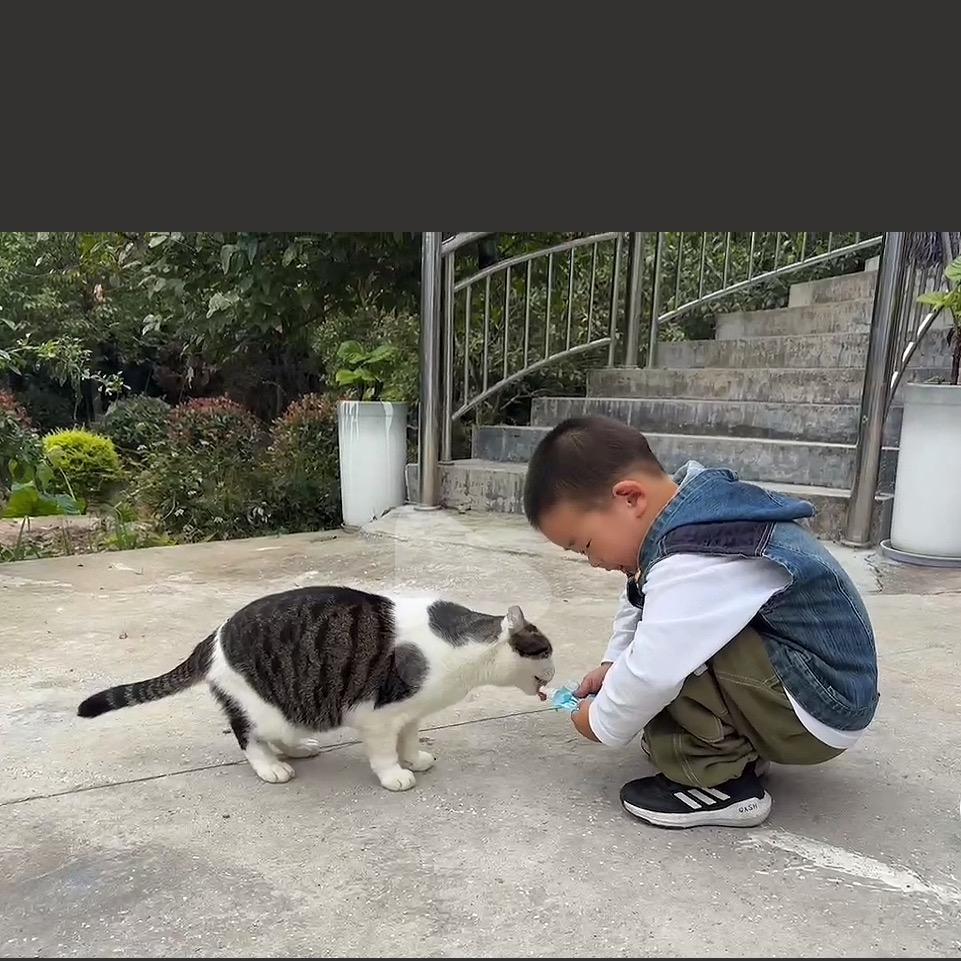 宸宸日常