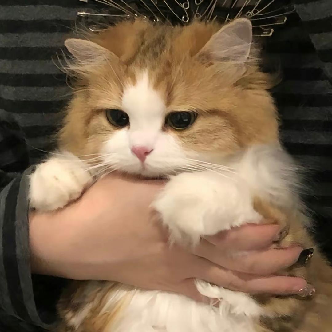 _再一次__