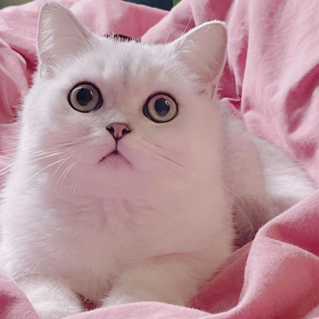 敏姐小吃