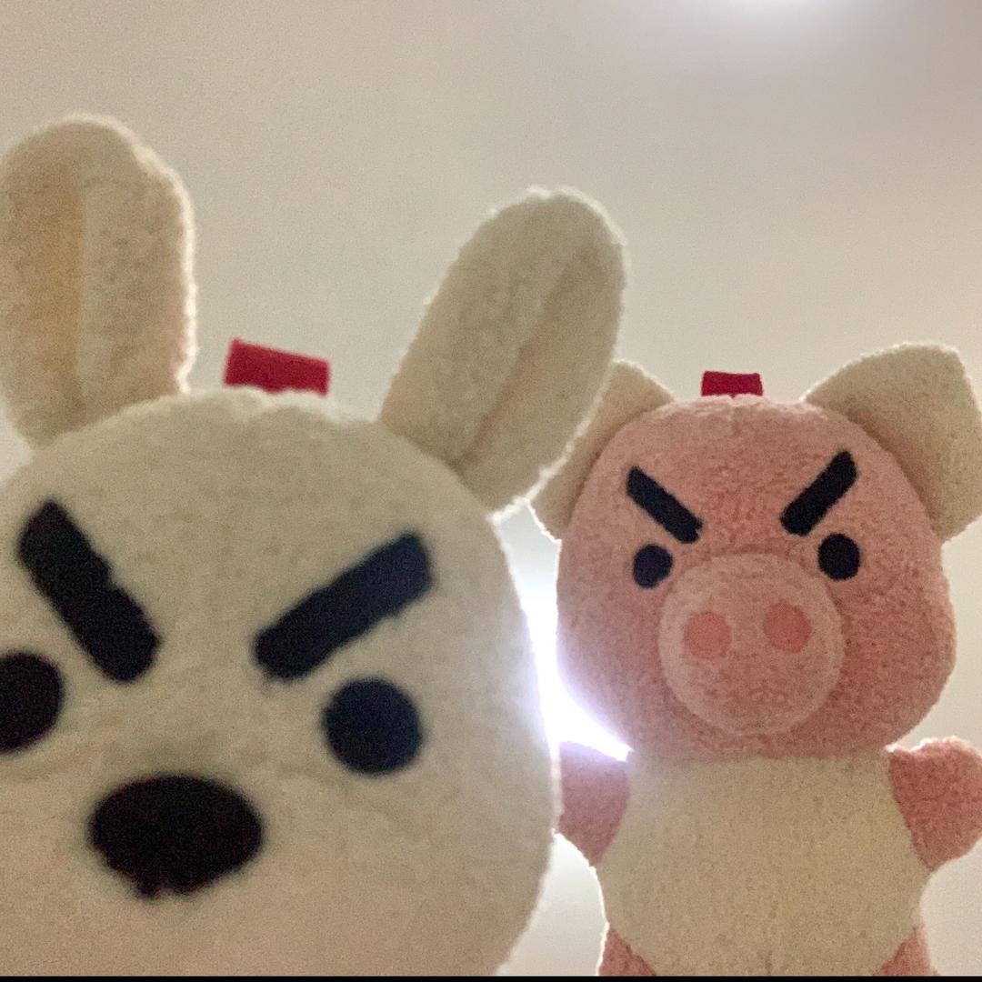 姐美弟随意