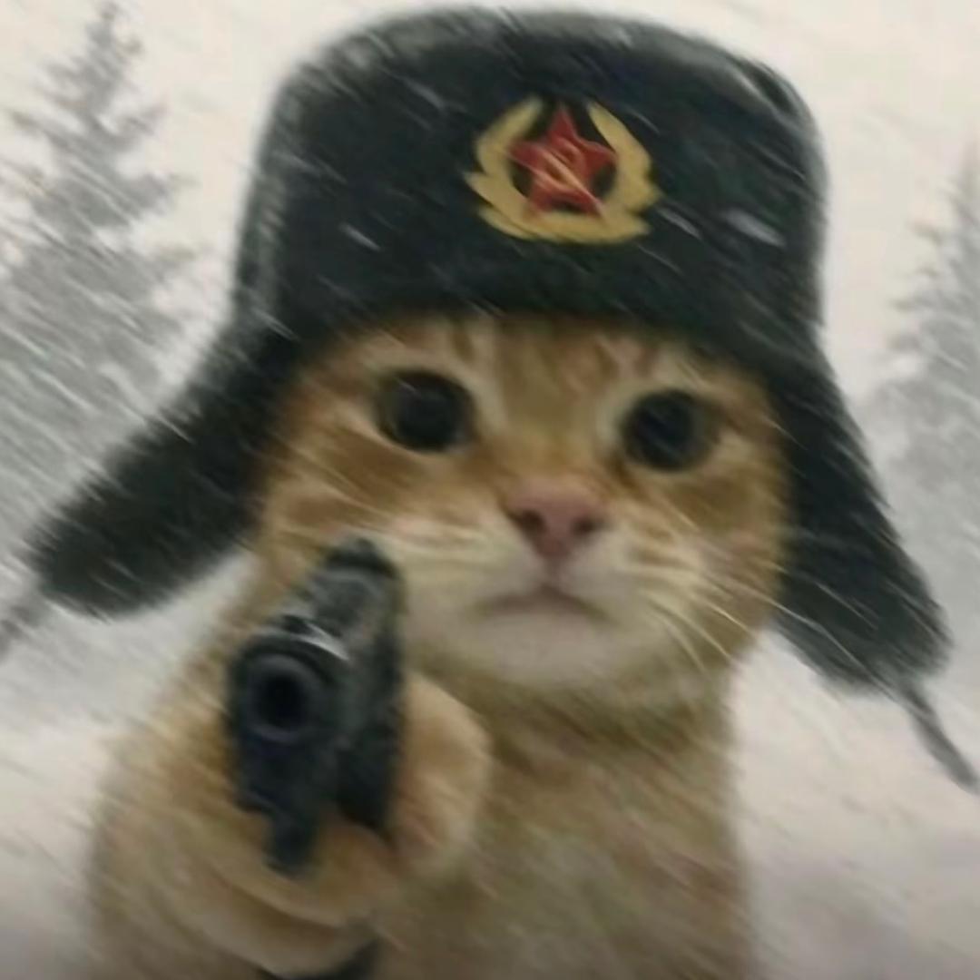 一天训练八百次