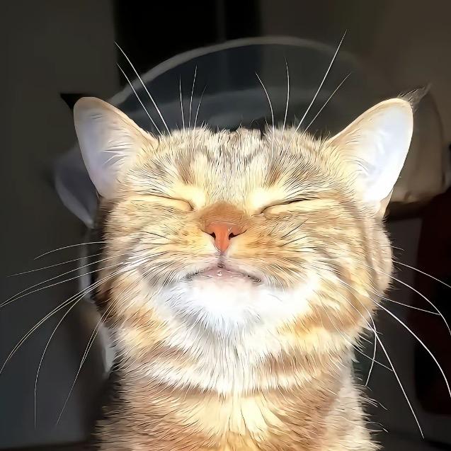 懒