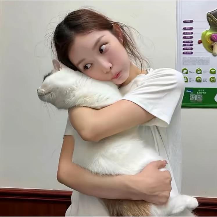 悲伤烤冷面^