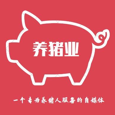 孙总说猪