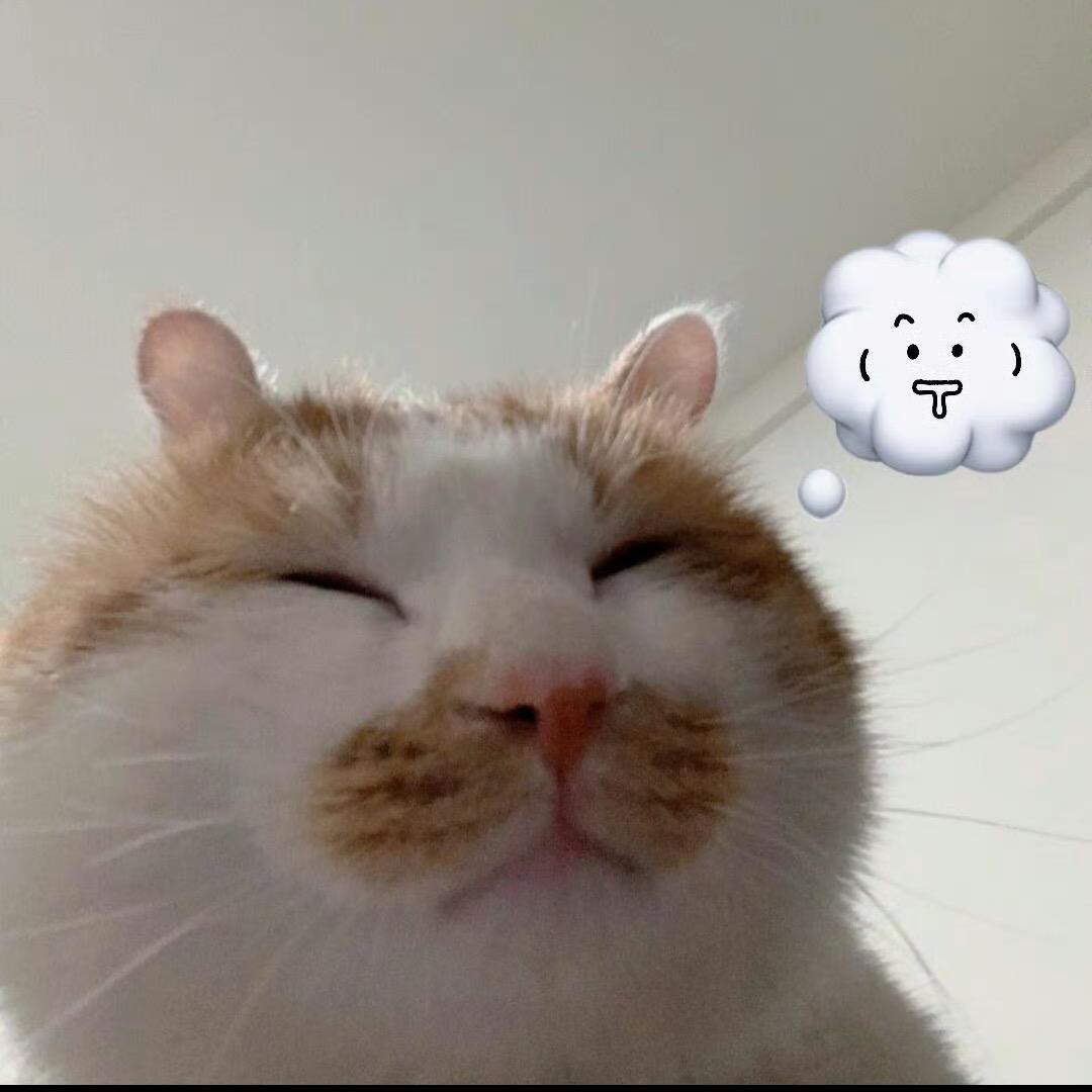 悦悦欲睡