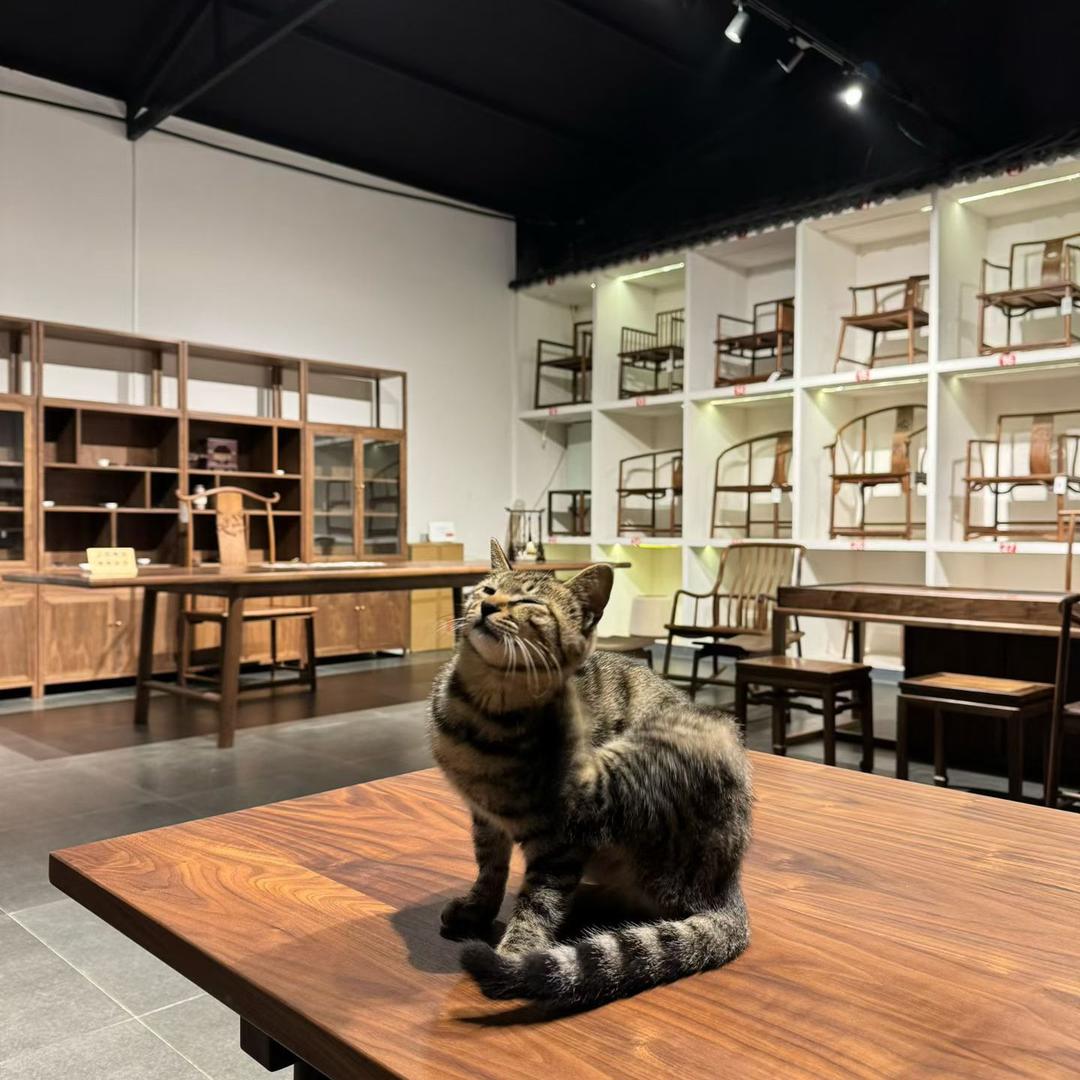 格外 宋式美学家具（看主页）