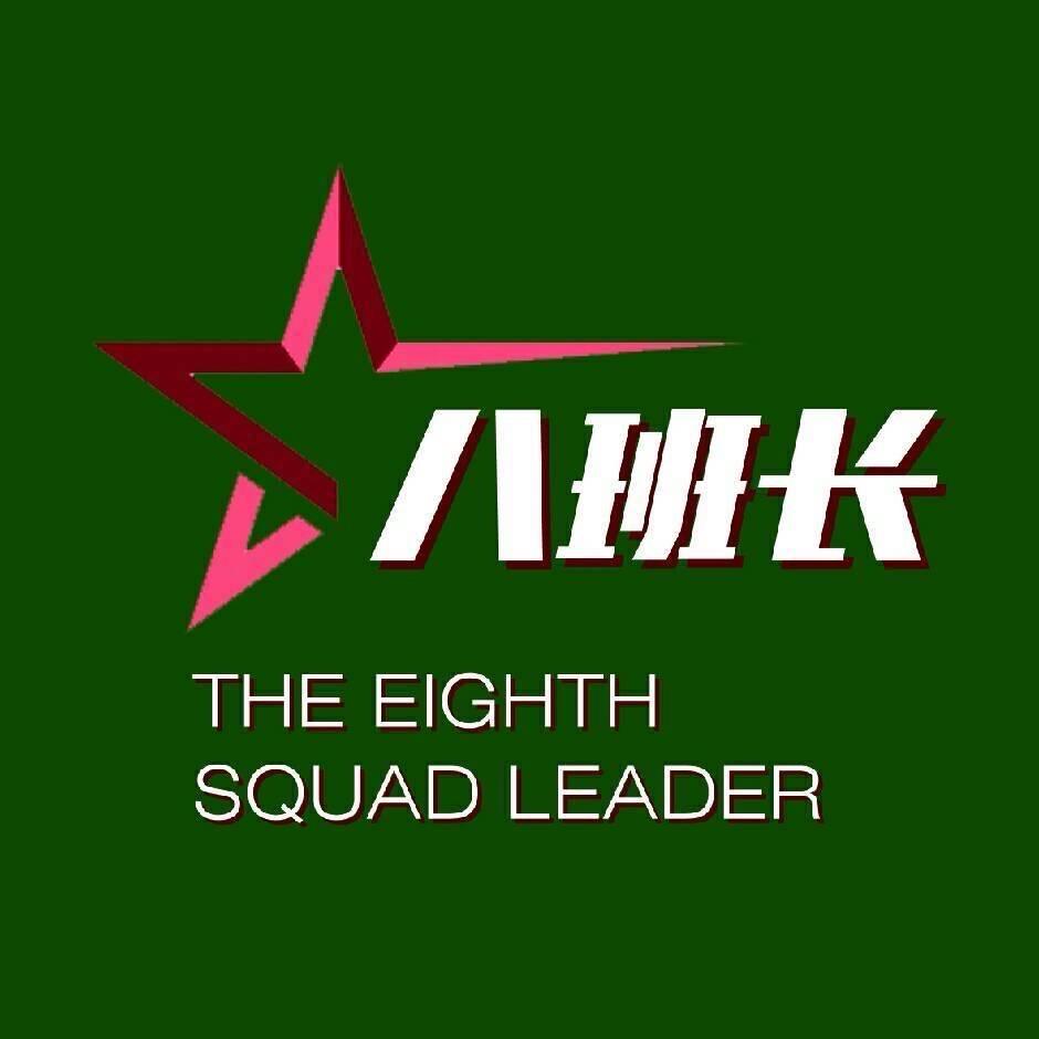 八班长家政
