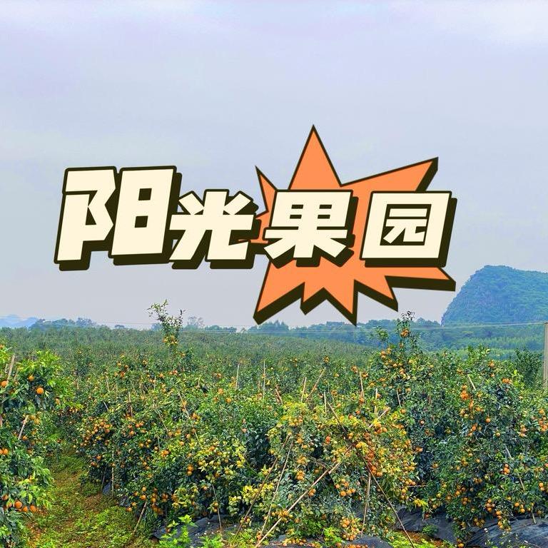 阳光果园.