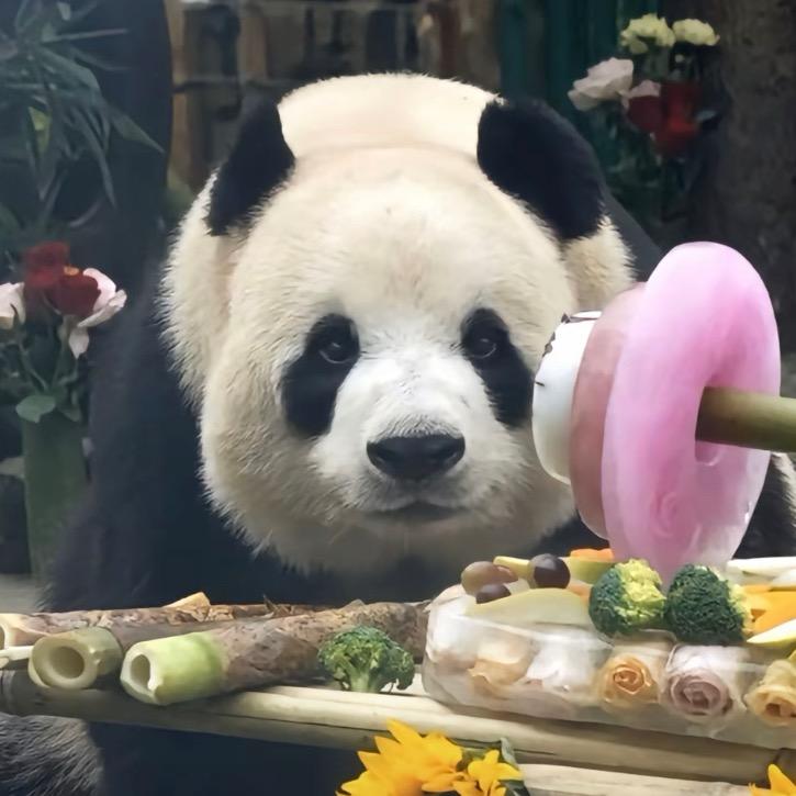 小秋