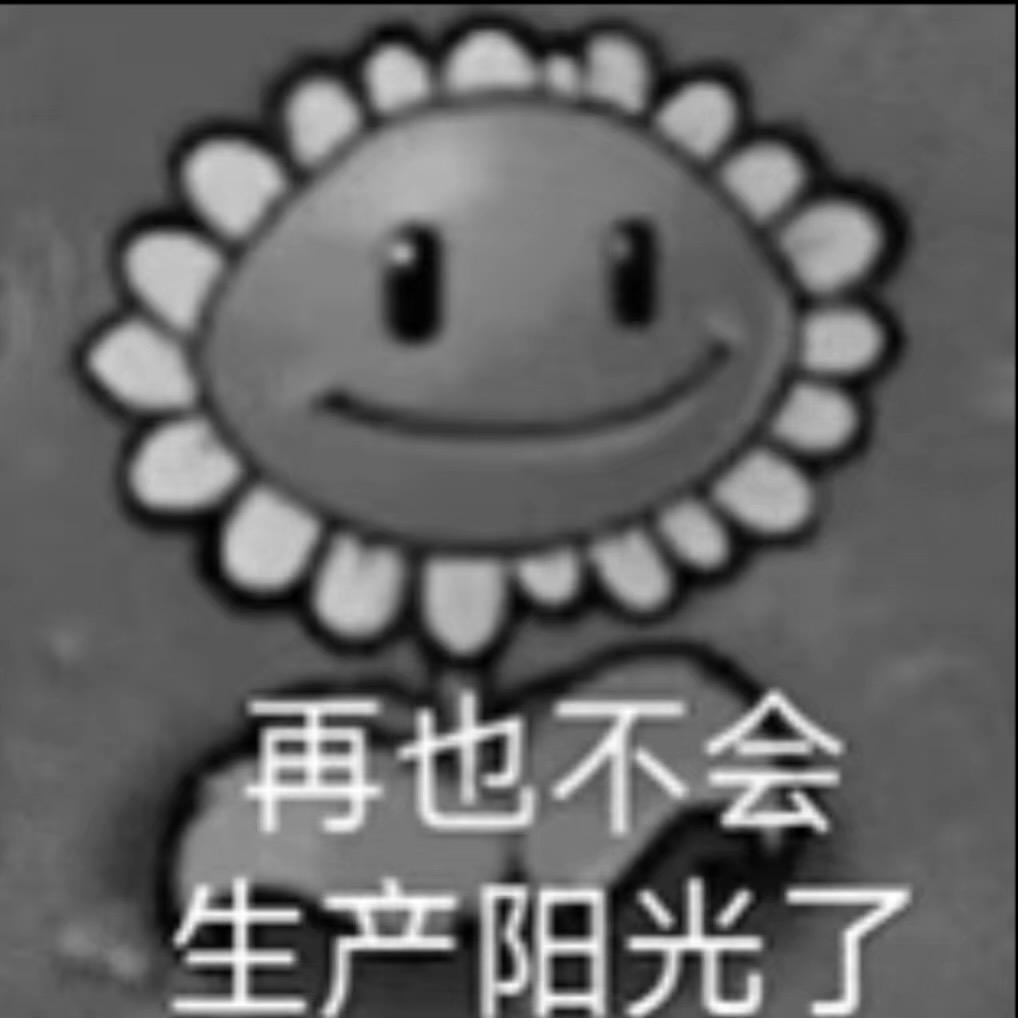 库库咪拆卡日记