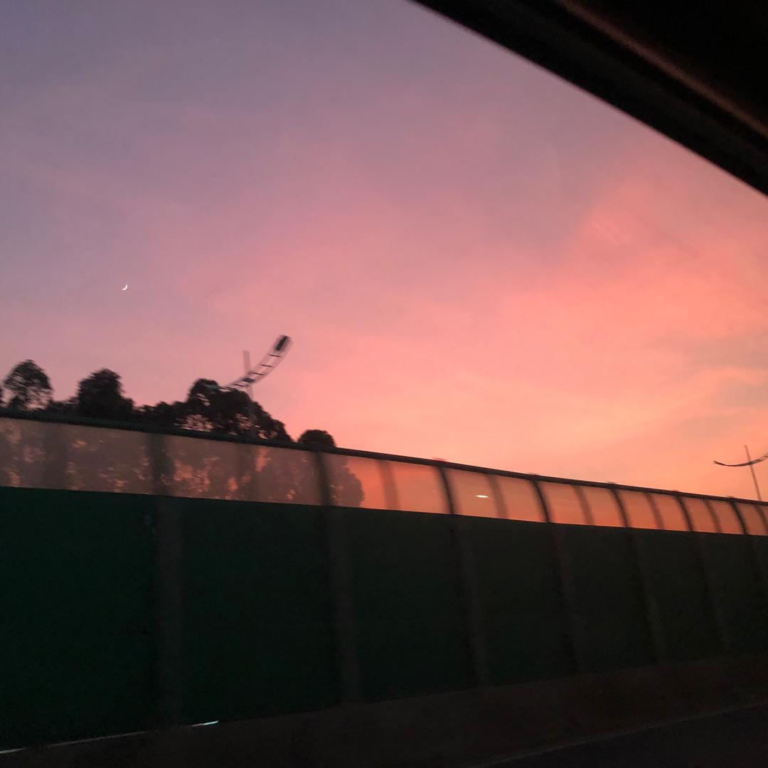 仙仙玫瑰橄榄蜂蜜