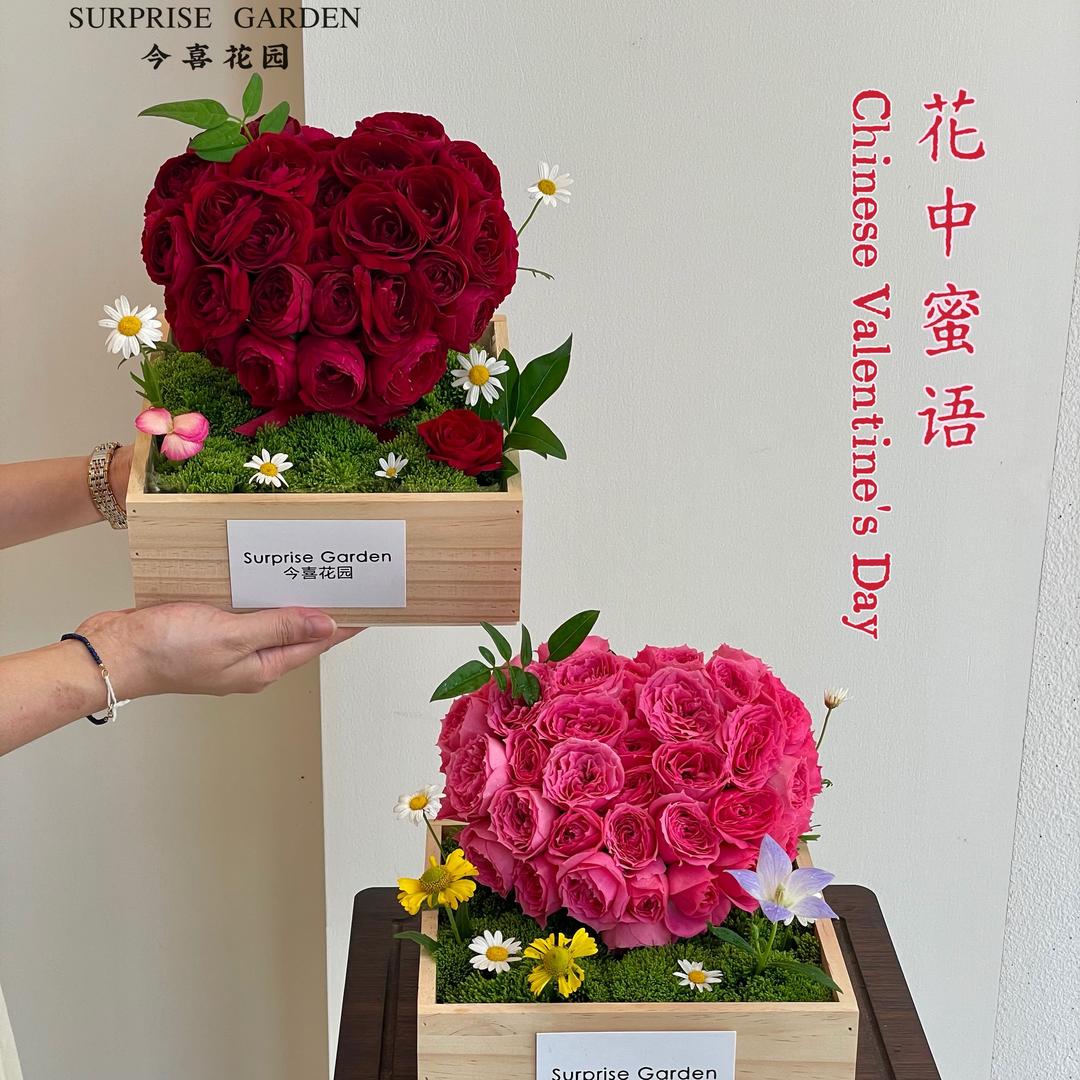今喜花园Surprise Garden
