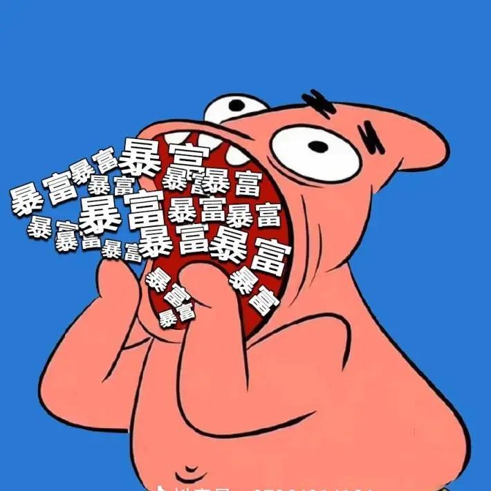 流浪去看演唱会