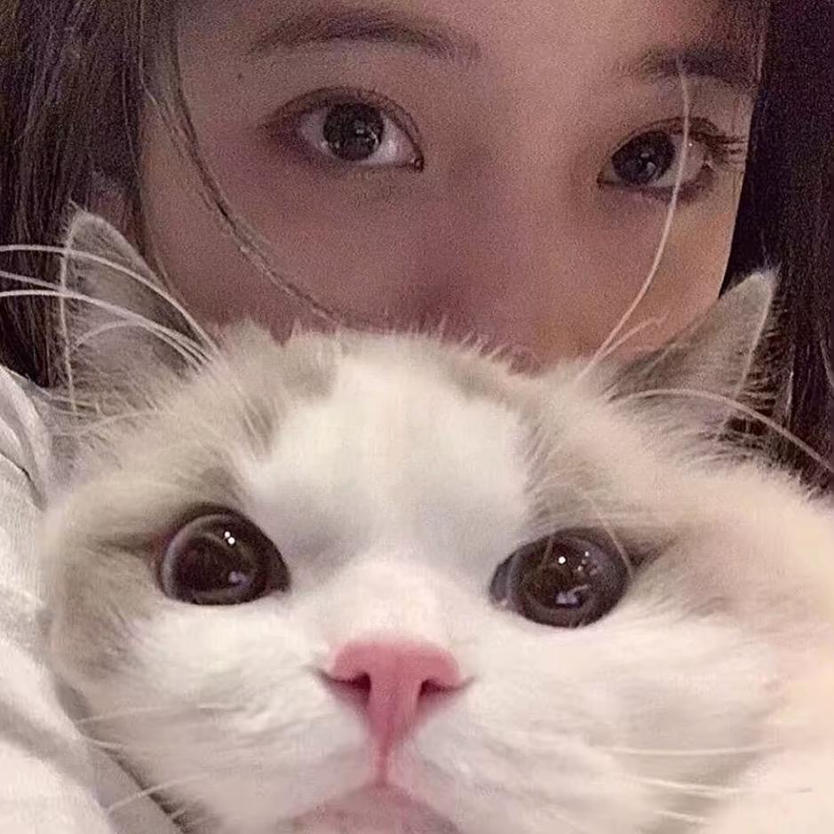 哈哈小🐟