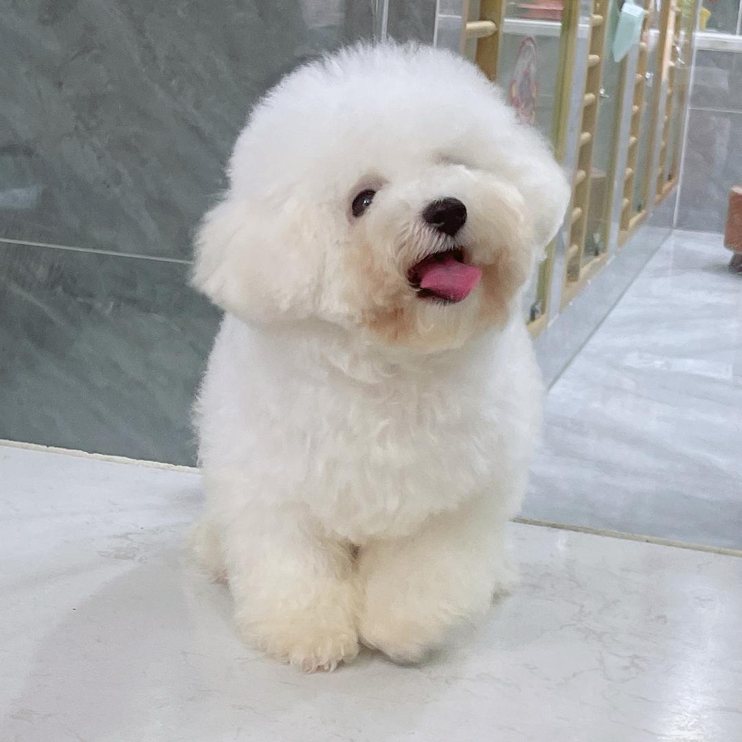 🌈时来运转💵💵💵