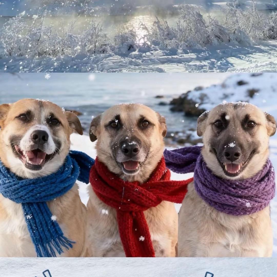 山舞🚶🏿‍♀️