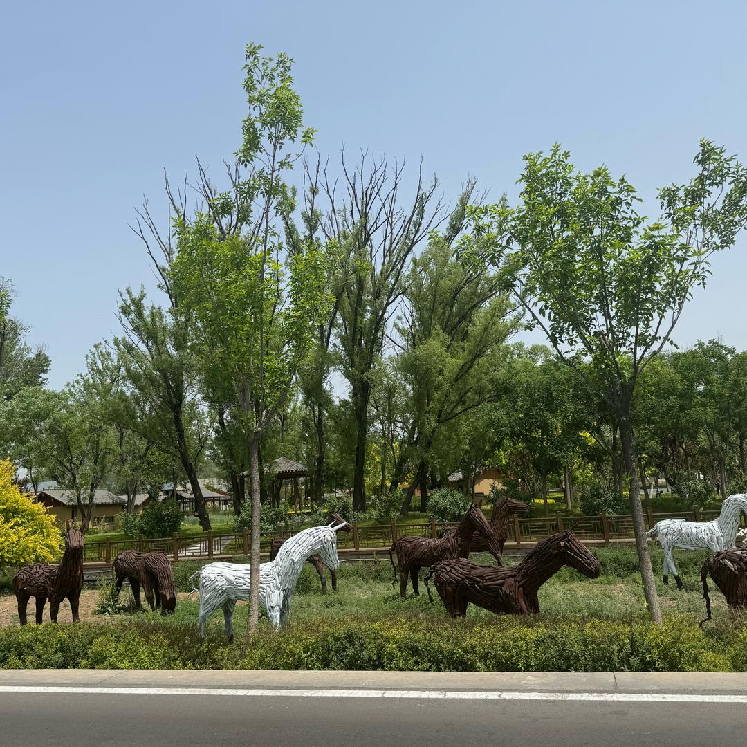 刺眼的阳光☀️