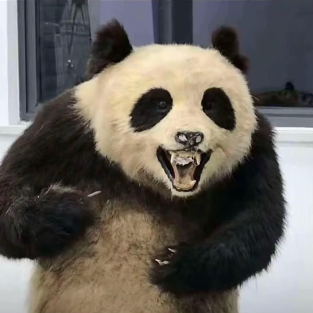 今朝（三角洲行动）