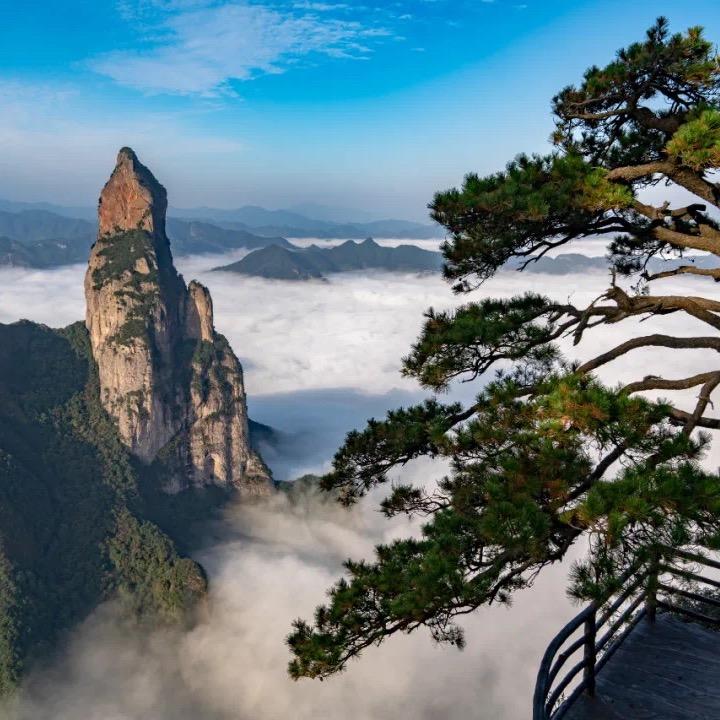 神仙居陈小姐旅游