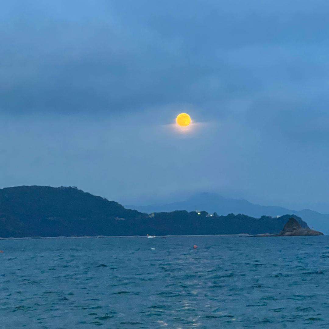 太莲专营店优选