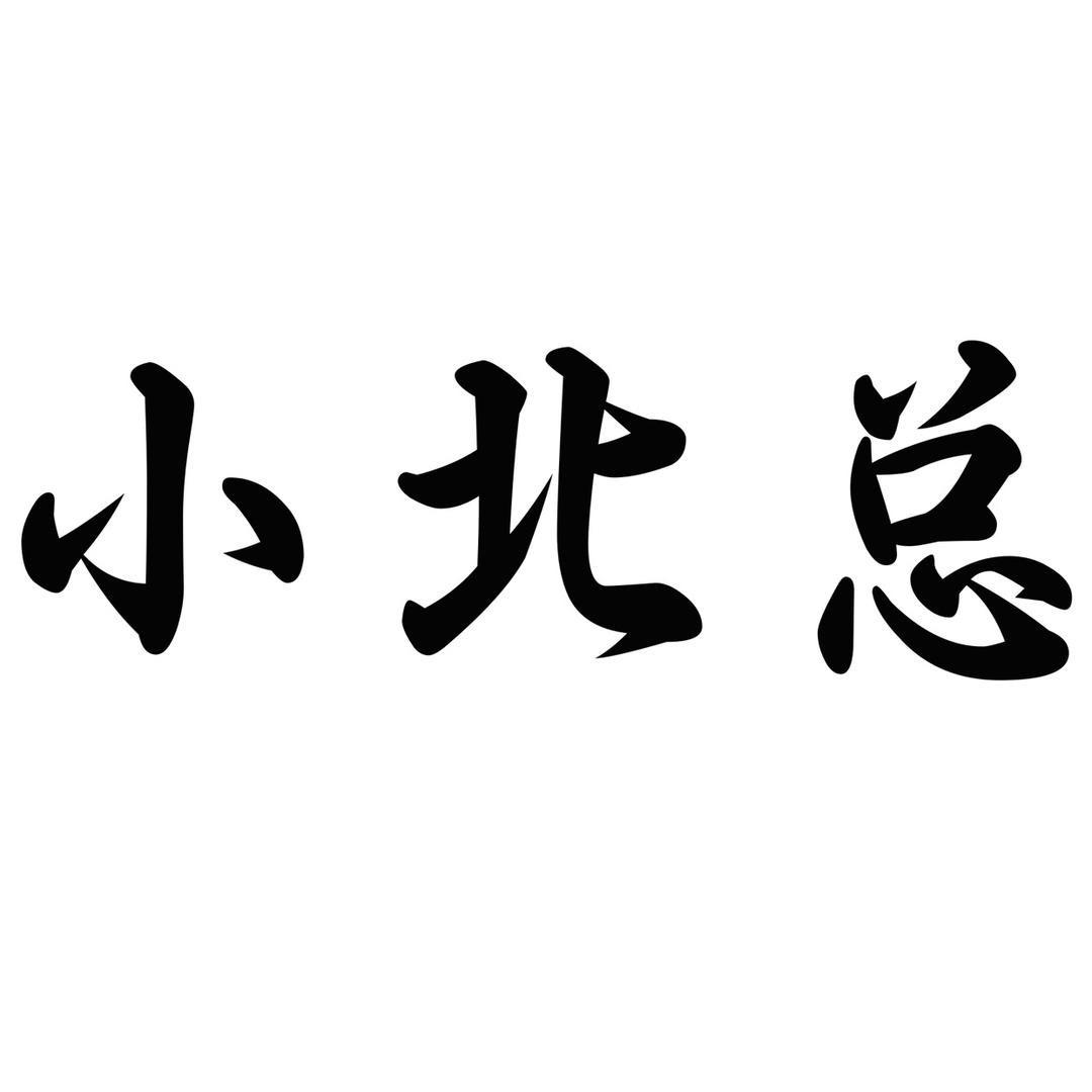 小北总