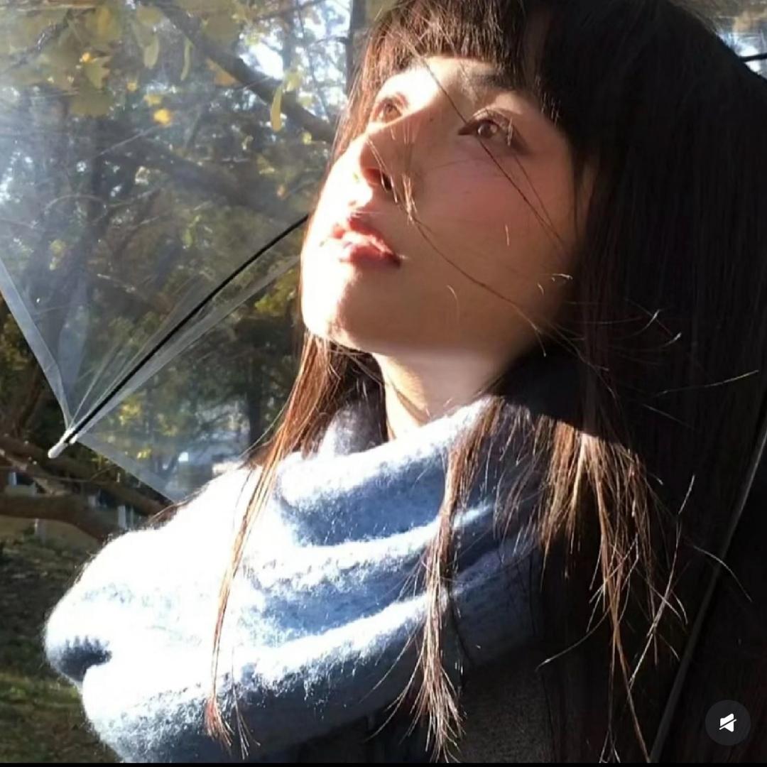 鲸鱼