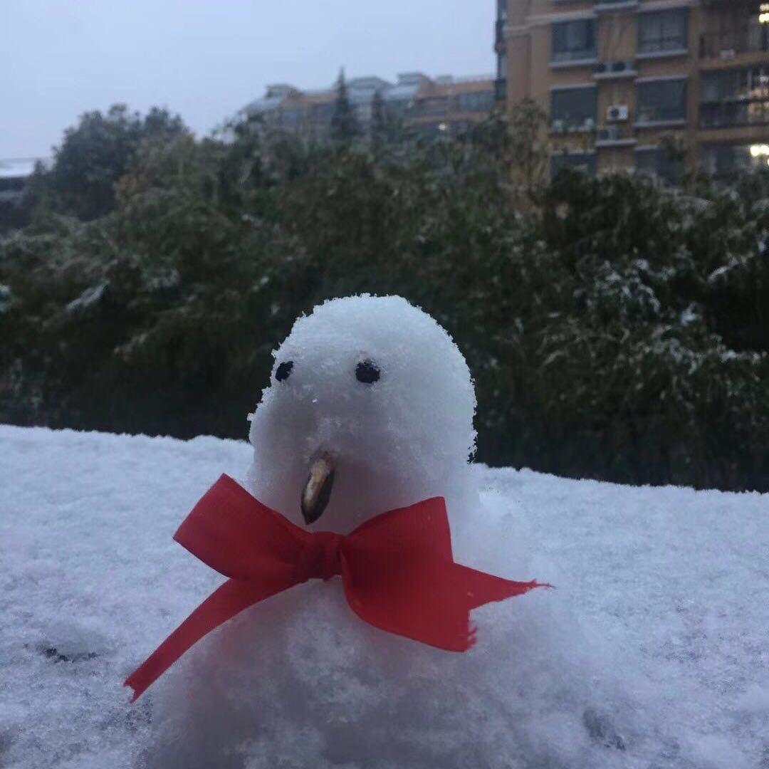 🌈🌈🌈没有阳光的菋箌