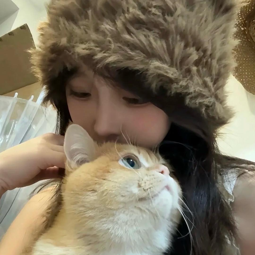 谢不肉v