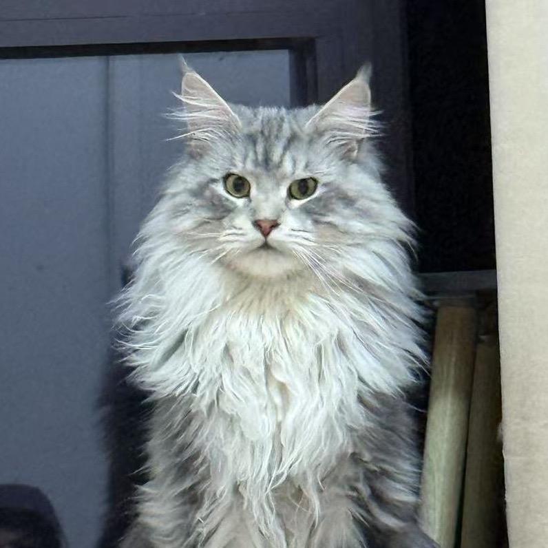 美邻精密五金工具