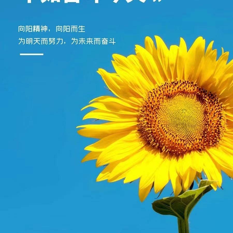 小幸运。