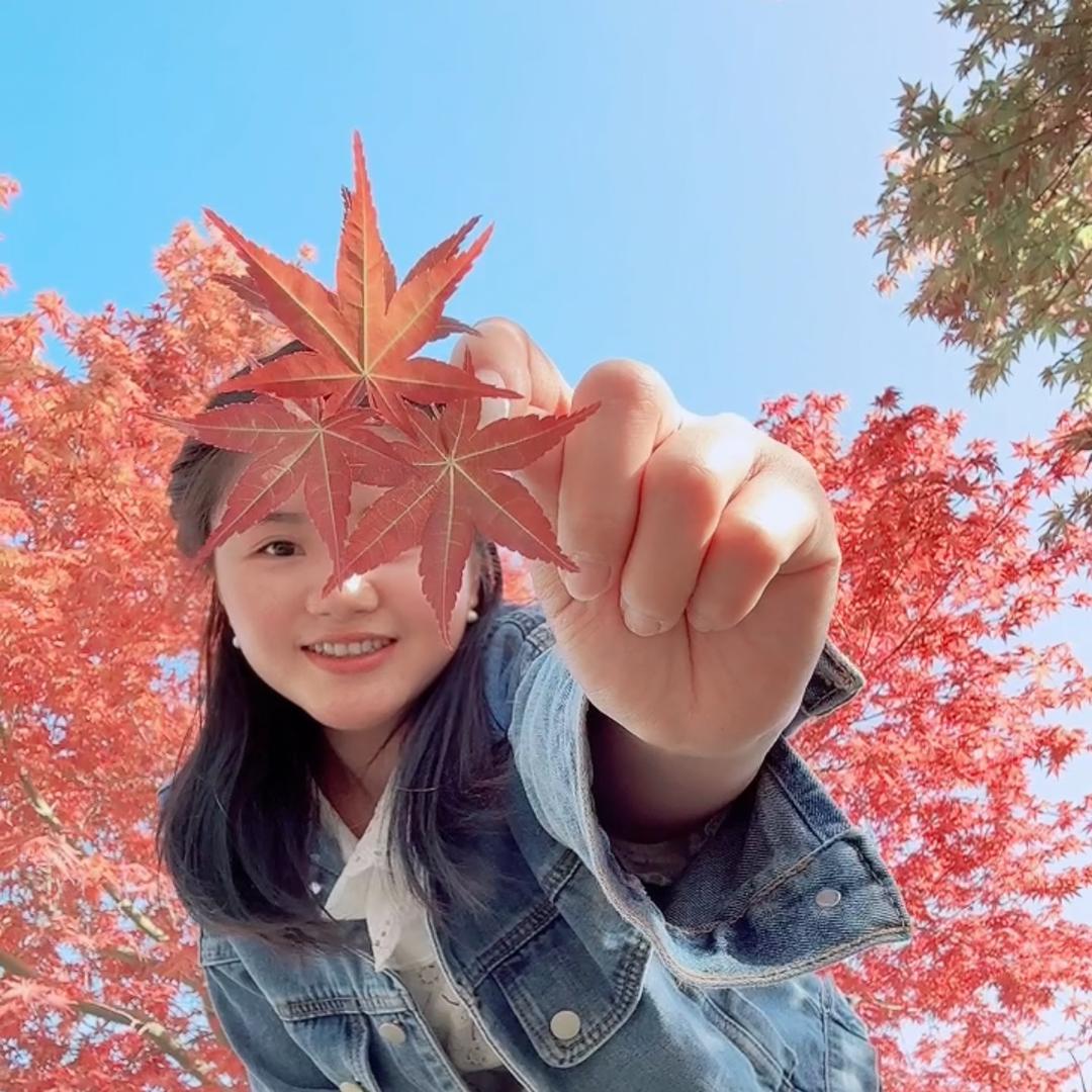 小雨在乡村卖花卉绿植