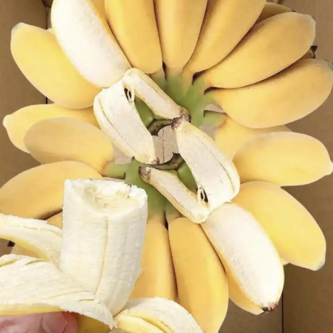 盛果佳园水果