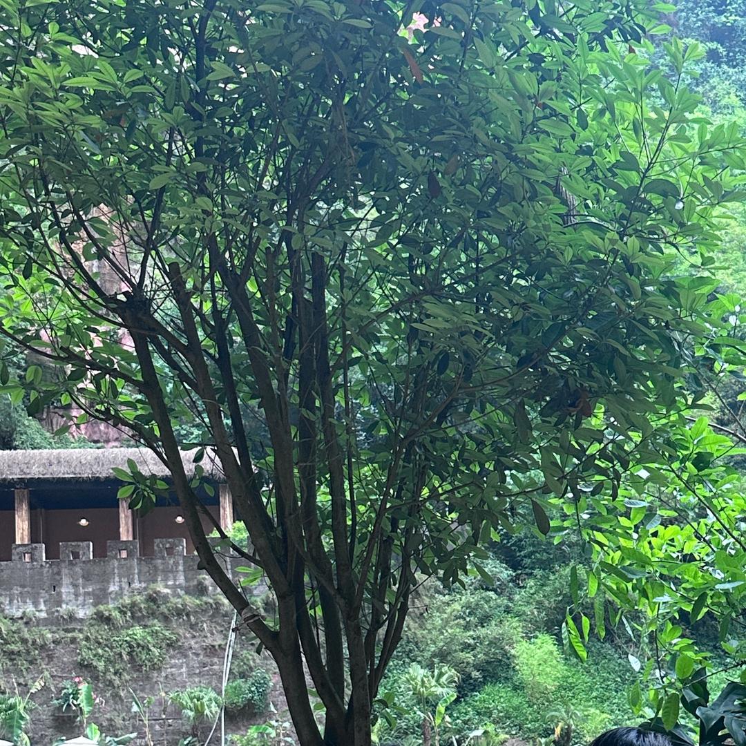 漫漫不慢