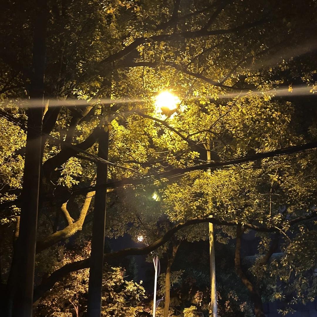 万福轩七色糙米