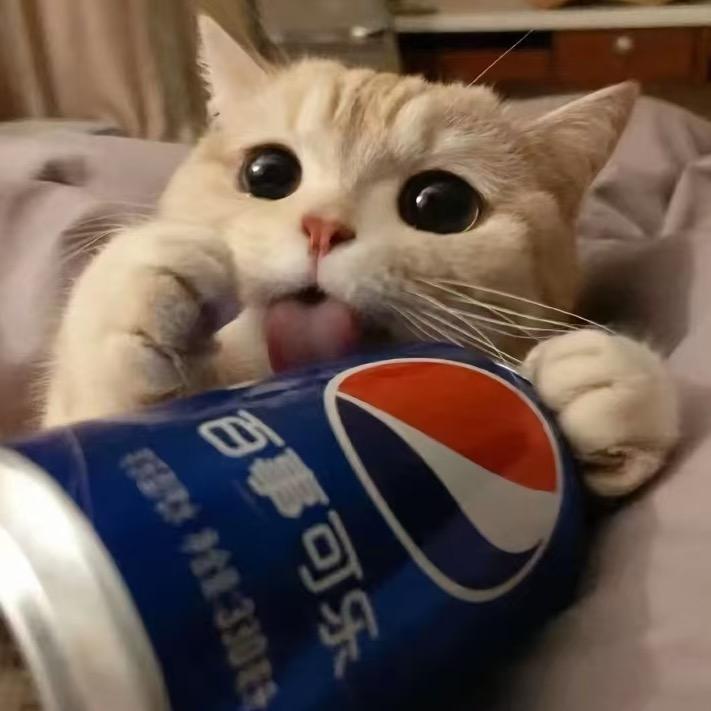 Y。