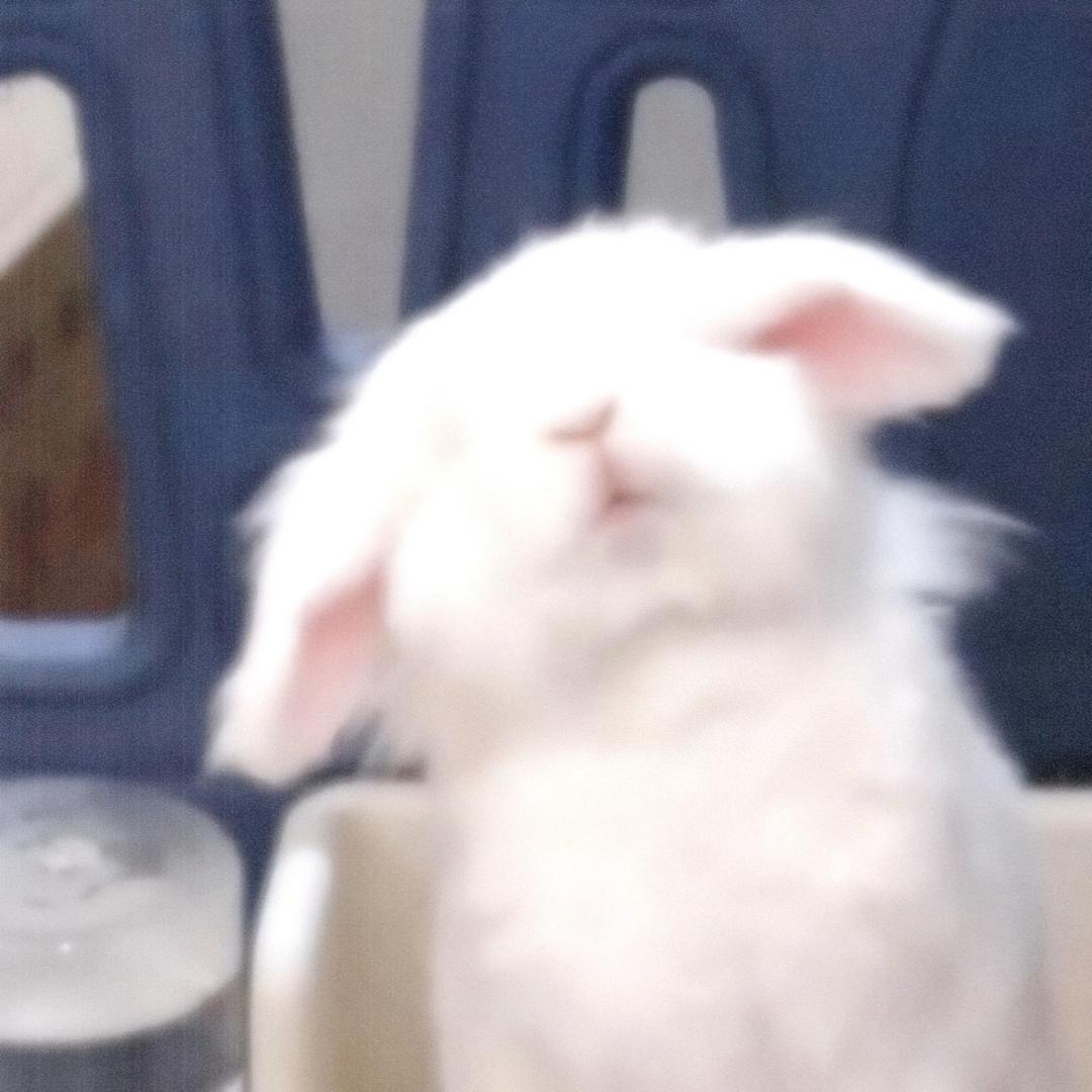 大杨爱化妆.（约妆版）