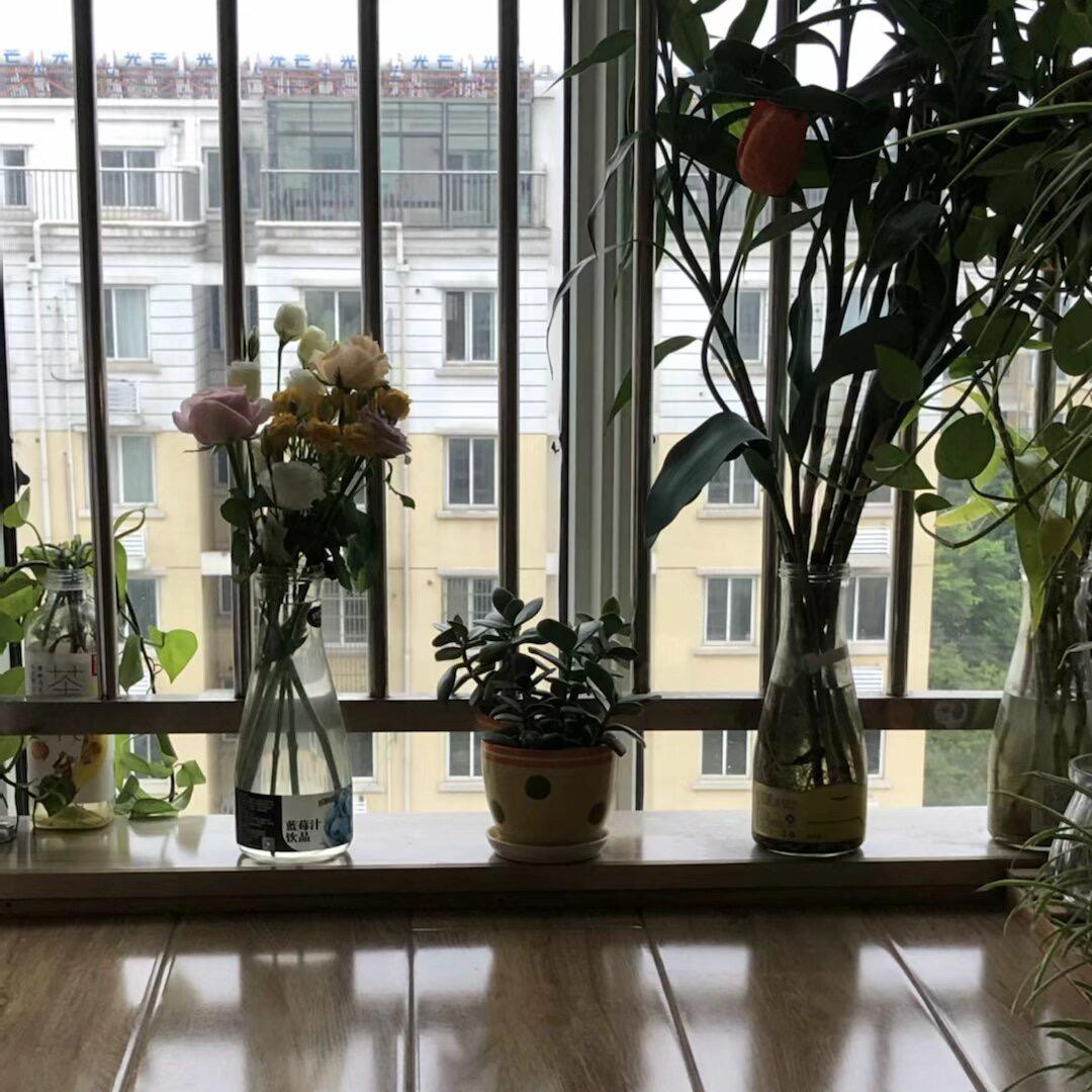 雨檬
