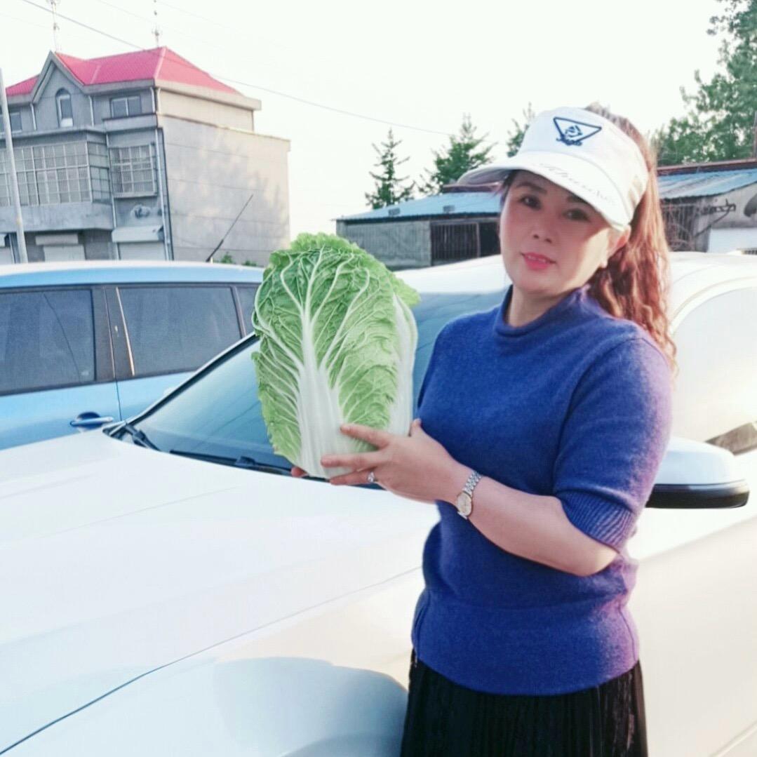 兰陵南菜园蔬菜代收中心