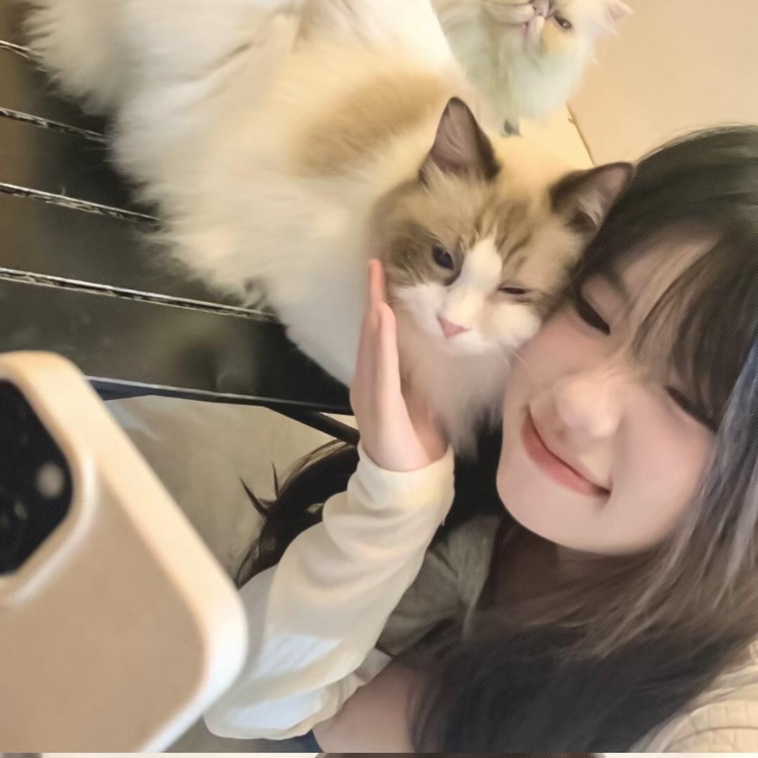哼个芮
