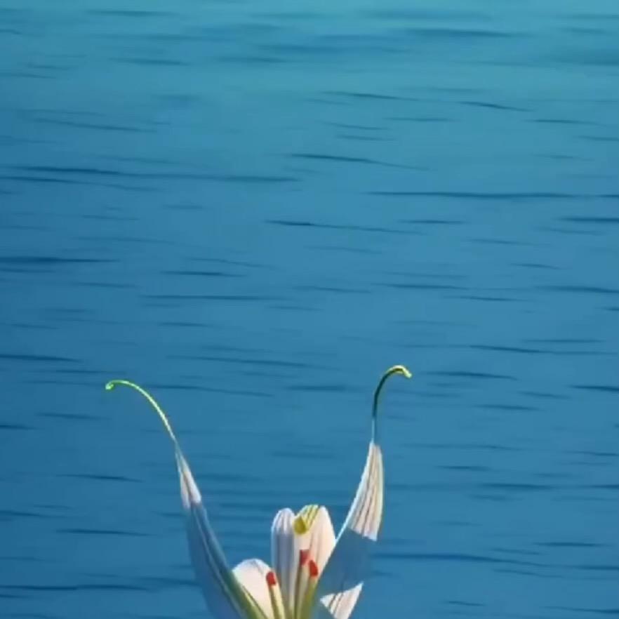 逻启3号