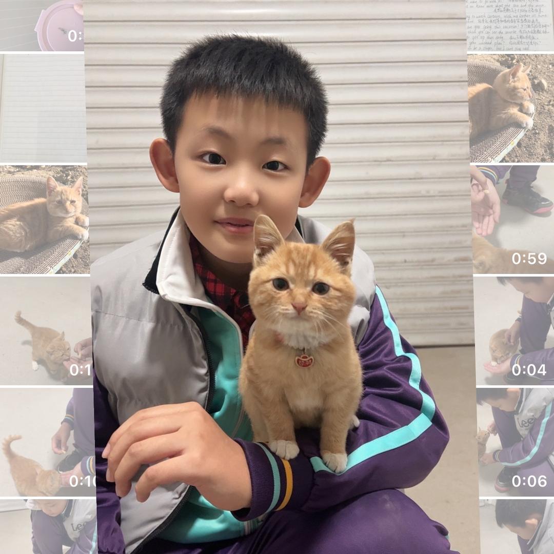 有咪闯入生活