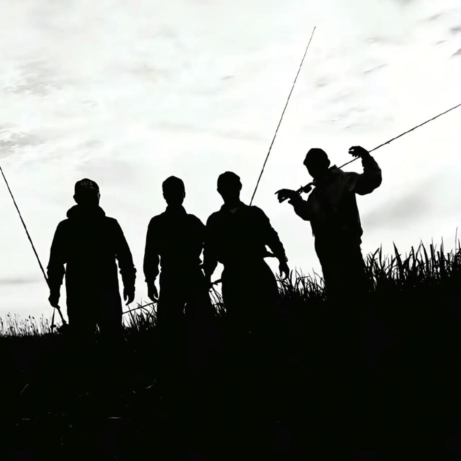 🧐亿条鱼）🐟