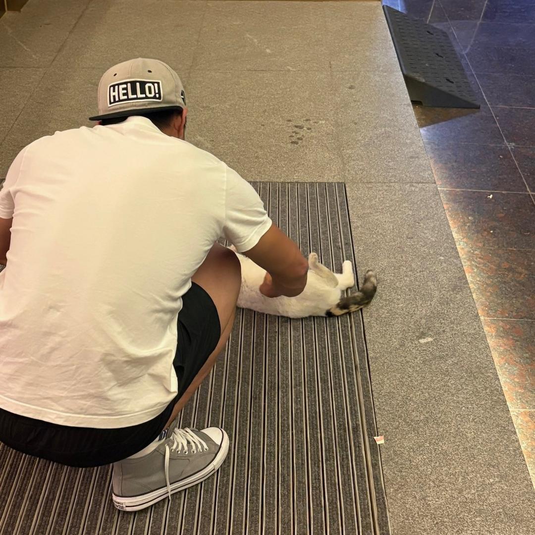金牌下饭大师