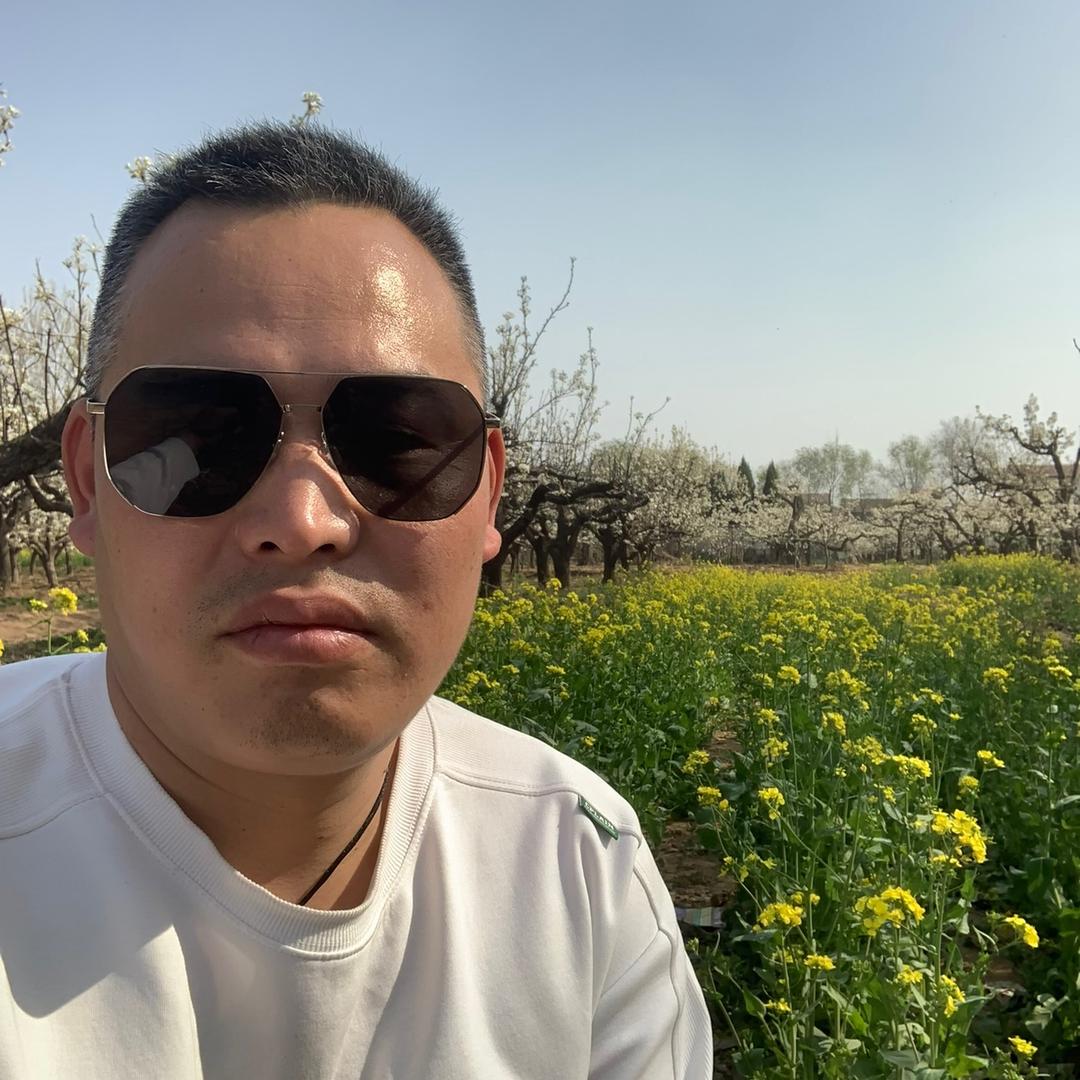 小灰灰¥