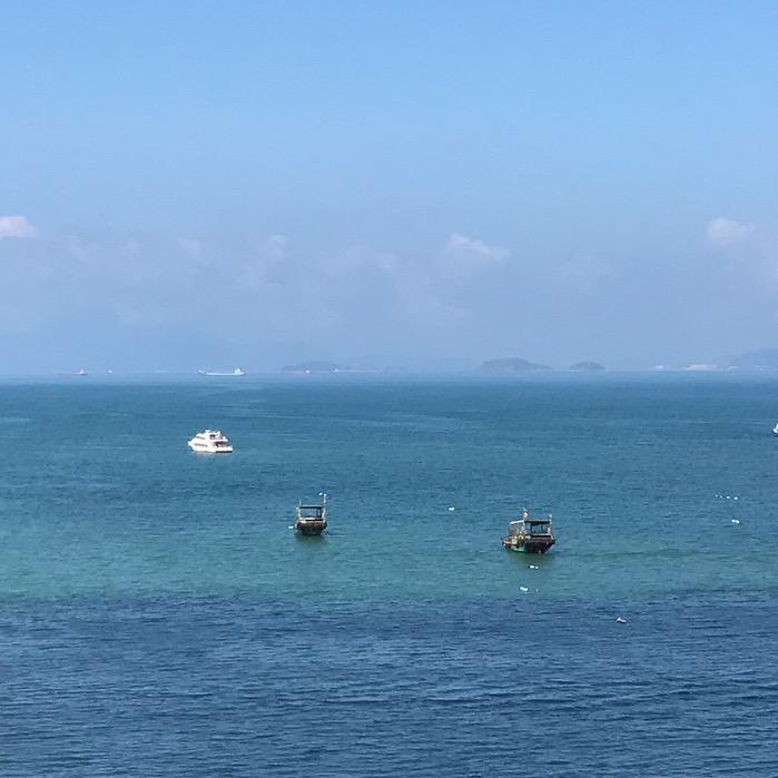 雅如兰