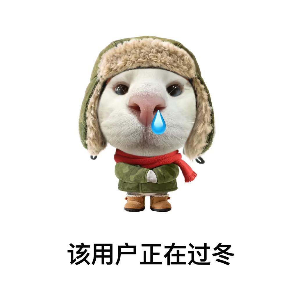 冷漠是我底色