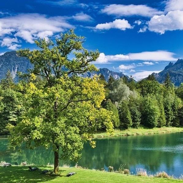 饕餮之心谁人懂