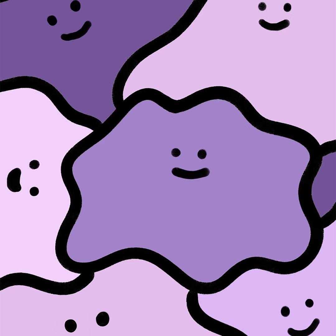 潮壳B计划